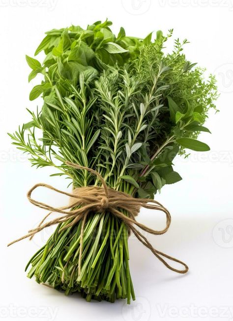 A bundle of fresh herbs - rosemary thyme and sage - ready to be used in tasty Thanksgiving recipes on a white background White Recipes, Herb Bouquet, Rosemary Mint, Nuts And Seeds, Background Background, Fresh Herbs, Thanksgiving Recipes, Thyme, Rosemary