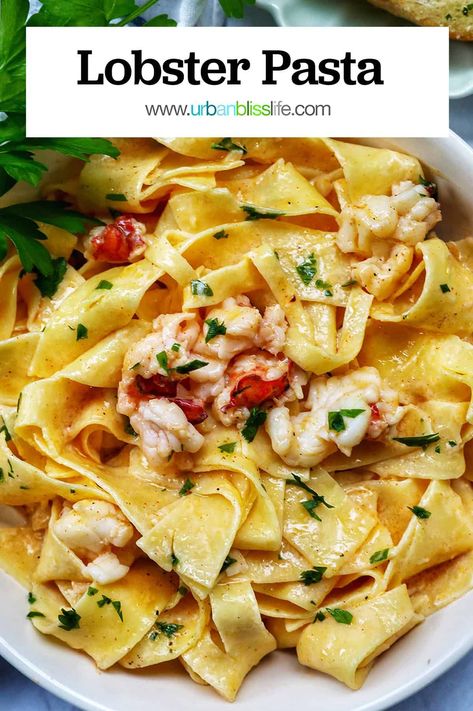 Lobster Pasta Recipe, Lobster Pasta, Special Occasion Dinner, Easy Family Dinner, Seafood Pasta Recipes, Lobster Recipes, Romantic Dinner Recipes, Seafood Pasta, Easy Family Dinners