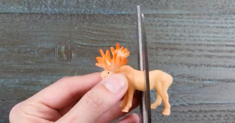 Plastic toys aren't just for playing. Check out these cool DIYs Plastic Animal Crafts Home Decor, Plastic Animal Crafts Diy, Painted Plastic Animals, Plastic Animal Crafts, Upcycle Toys, Whimsical Diy, Diy Pet Toys, Animal Ideas, Amazing Crafts