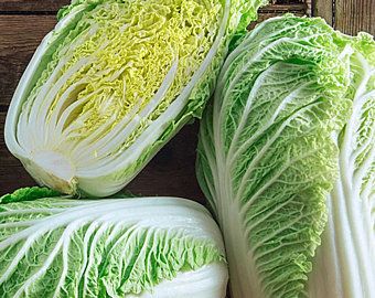 Cabbage seeds | Etsy Cabbage Plant, Cabbage Seeds, China Garden, Garden Parasols, Napa Cabbage, Chinese Cabbage, Garden Nursery, Healthy Veggies, Green Cabbage