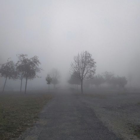 Foggy Rainy Weather, Foggy Countryside, Matt Maltese, Foggy Weather, Foggy Forest, Forest Path, Rainy Weather, Dark Photography, Nature Aesthetic