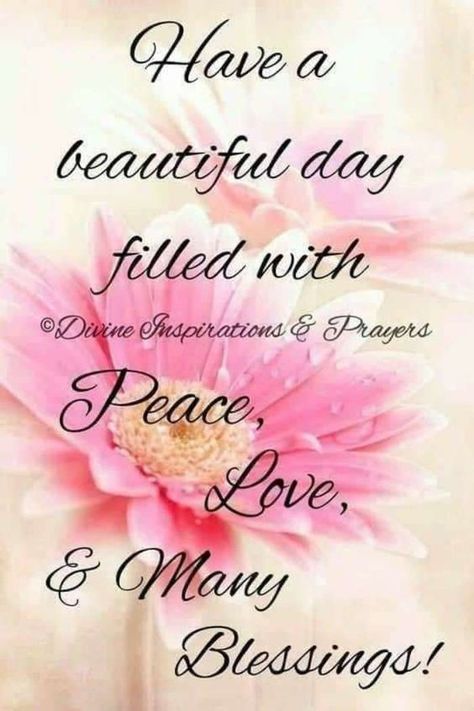 Happy Day Images, Divine Inspiration And Prayers, Blessed Morning Quotes, Good Afternoon Quotes, Afternoon Quotes, Happy Morning Quotes, Good Morning Inspiration, Happy Good Morning Quotes, Good Morning Prayer