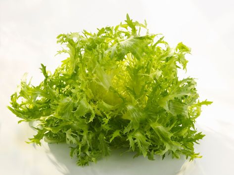 Typical Dutch Food, Frisee Lettuce, Curly Endive, Salad Coleslaw, Healthy Chinese Recipes, Belgian Endive, Healthy Chinese, Kitchen Item, Seed Packaging