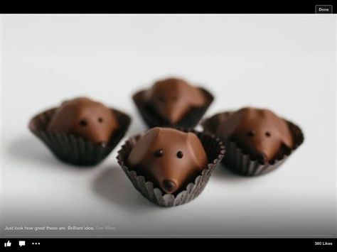 Dog Milk, Edible Crafts, Fine Chocolate, Weenie Dogs, Weiner Dog, Like Animals, Love Chocolate, Wiener Dog, Best Chocolate