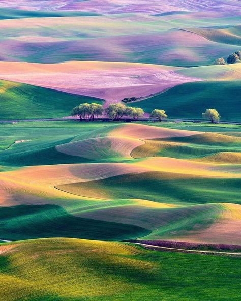 The hills of Palouse, Washington - Imgur Palouse Washington, The Palouse, Rolling Hills, Washington State, Artist At Work, National Geographic, Beautiful World, Nature Art, Beautiful Nature