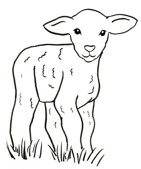 Baby Sheep Coloring Pages, from Animal Coloring Pages blogs #coloring #coloringpages #printable Lamb Drawing, Sheep Drawing, Sheep Face, Sheep Illustration, Funny Sheep, Preschool Coloring Pages, Baby Sheep, Bible Coloring Pages, Coloring Pages For Boys