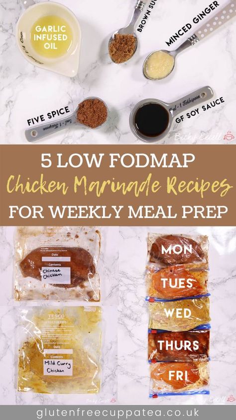 Low Fodmap Chicken Seasoning, Low Fodmap Spices, Fodmap Chicken Marinade, Ibs Meals, Fodmap Sauces, Lowfod Map, Impressive Food, Healing Habits, Hamburger Toppings