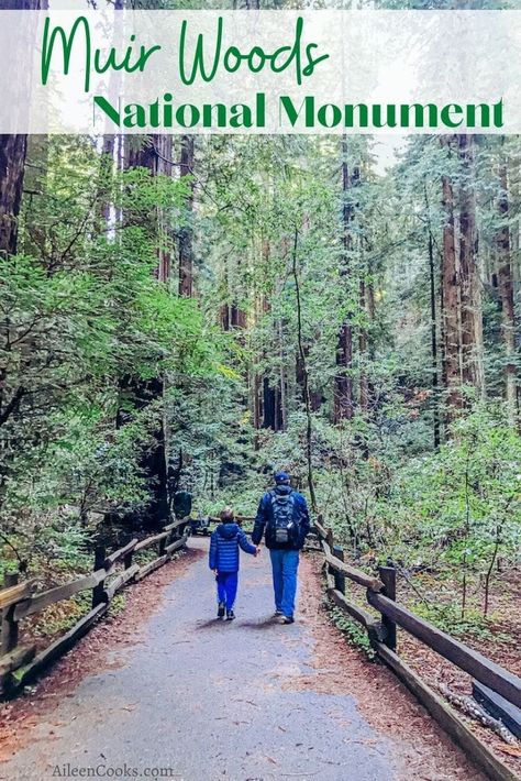 Muir Woods National Monument, Muir Woods, Marin County, Visit California, California Travel Road Trips, Family Travel Destinations, National Parks Trip, The Hustle, California Coast