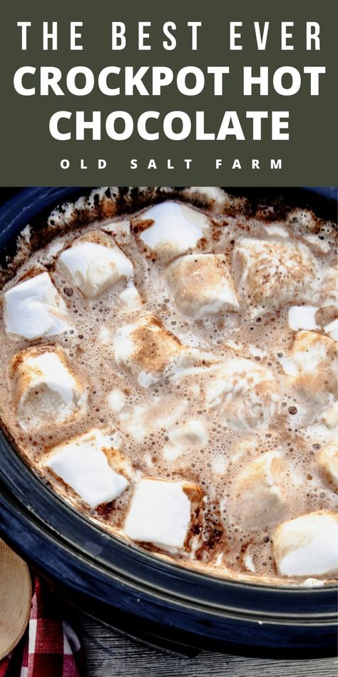 Best Crockpot Hot Chocolate, Easy Crockpot Hot Chocolate, Crockpot Hot Chocolate Recipe, Best Crockpot, Crockpot Hot Chocolate, Hot Chocolate Recipe, Christmas Hot Chocolate, Holiday Recipes Christmas, Homemade Hot Chocolate