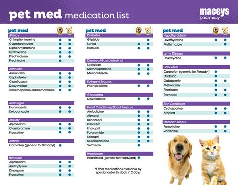 Otc Meds For Cats, Medicine Safe For Dogs, Benadryl For Dogs, Cat Medicine, Meds For Dogs, Pet Meds, Doggy Treats, Dog Medicine, Vet Medicine