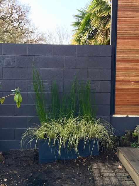 Concrete Block Walls Garden, Painted Besser Block Wall, Windowless Exterior Wall Ideas, Painted Breeze Block Wall Garden, Painted Breeze Block Wall, Backyard Brick Wall Ideas Paint, Black Garden Wall, Painted Block Wall Backyard, Adu Landscaping