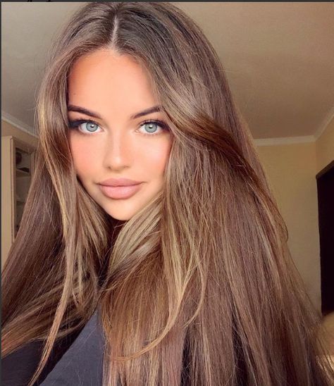 Advanced Hairstyles, Brown Hair Blue Eyes Girl, Aesthetic Hairstyle Ideas, Light Golden Brown Hair, Aesthetic Hairstyle, Golden Brown Hair, Retro Nails, Belle Silhouette, Hairstyles For Girls