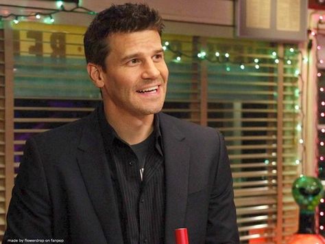 bones Seeley Booth, Bones Show, Booth And Brennan, Booth And Bones, Bones Tv Show, David Boreanaz, Telephones, Popular Shows, Fictional Crushes