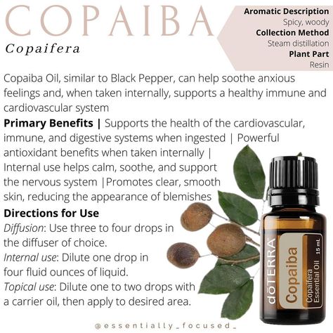 dōTERRA OILS 🌿 Jennifer on Instagram: “𝐂𝐨𝐩𝐚𝐢𝐛𝐚 𝙇𝙚𝙩’𝙨 𝙜𝙚𝙩 𝙩𝙤 𝙠𝙣𝙤𝙬 𝙤𝙪𝙧 𝙤𝙞𝙡𝙨: * This Months Promotion!! Get Copaiba for 10% off! * 🌿 Copaiba essential oil is derived from the…” Copaiba Essential Oil Benefits, Copaiba Oil, Copaiba Essential Oil, Essential Oils For Babies, Essential Oil Diffuser Blends Recipes, Steam Distillation, Essential Oil Benefits, Aroma Oil, Essential Oil Diffuser Blends