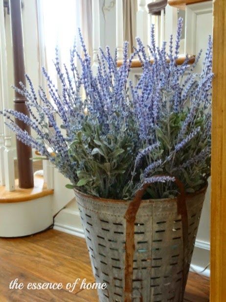 The Essence of Home: How to Make an Impressive Lavender Display Olive Bucket Decor, Bucket Decor, Olive Bucket, Bucket Ideas, Space Ideas, Lavender Flowers, House 2, Buckets, Small Space