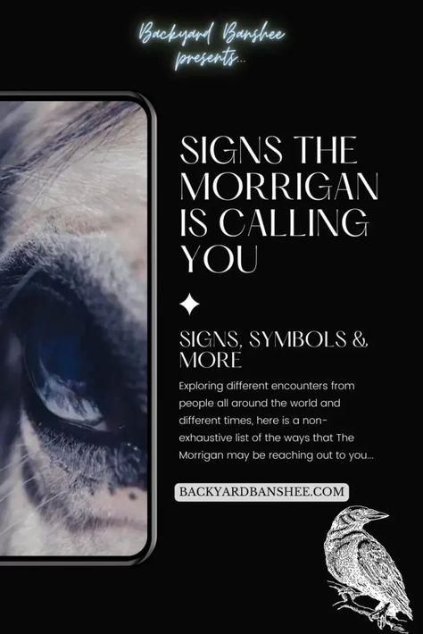 From crows to cows to eels, from war cries to battlefields to bloody rivers, signs that the Morrigan is reaching out can be found in real life and our dreams. Learn all about the different symbols and find resources to discover more about the Morrigan all at backyardbanshee.com Morrigan Irish Goddess, The Morrigan Goddess Tattoo, Working With The Morrigan, The Morgan Goddess, Morrigan Tattoo Celtic Mythology, Morrigan Goddess Celtic Mythology, Morrigan Deity, The Morrigan Aesthetic, The Morrigan Art