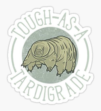 Funny Science Shirt Gift- Tardigrade Biology for Women Men Sticker Science Gifts For Kids, Biology Lover, Science Tee Shirts, Biology Student, Funny Science Shirts, Biology Science, Phone Things, Science Stickers, Biology Art