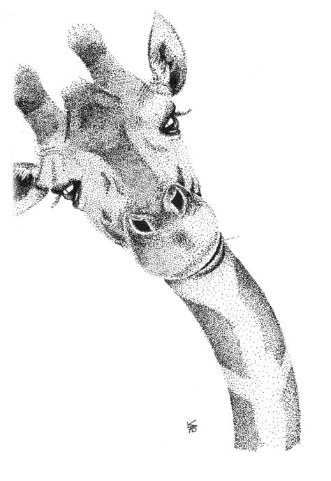 Giraffe, african animals, africa, pointillism, dotwork, stippling, black and white, illustration Pointalism Art, Pointillism Tattoo, Stippling Drawing, Animals Africa, Dotted Drawings, Stippling Art, Funny Giraffe, Scale Drawing, Pen Art Drawings