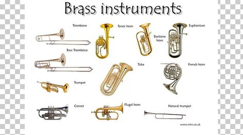 Instrument Families, Homemade Instruments, Brass Instrument, Woodwind Instrument, Brass Instruments, Learn Music, Learn English Vocabulary, Percussion Instruments, Tv Movie