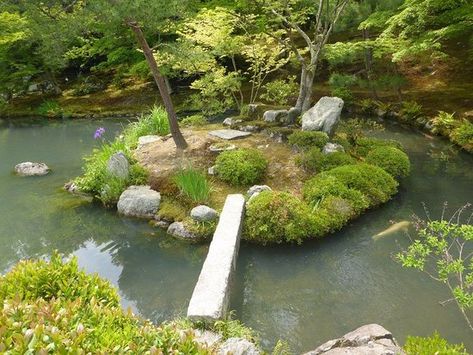 Farm Pond, Japanese Forest, Natural Swimming Ponds, Outdoor Ponds, Pond Landscaping, Swimming Pond, Cottage Exterior, Natural Swimming Pool, Backyard Remodel