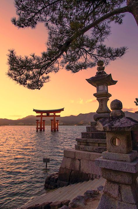 Miyajima Japan, Miyajima Island, Magic Places, Japanese Landscape, Japan Aesthetic, Historical Monuments, Royal Caribbean, Exeter, Hiroshima