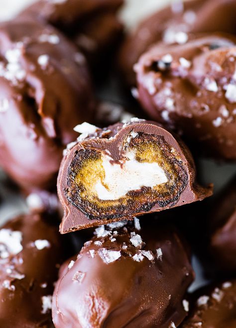 Date Mounds Bars - Eating Bird Food Pumpkin Tiramisu, Nutella Truffles, Hazelnut Crunch, Homemade Truffles, Truffles Recipe, Sally's Baking, Candy Truffles, Candy Recipes Homemade, Truffle Recipe