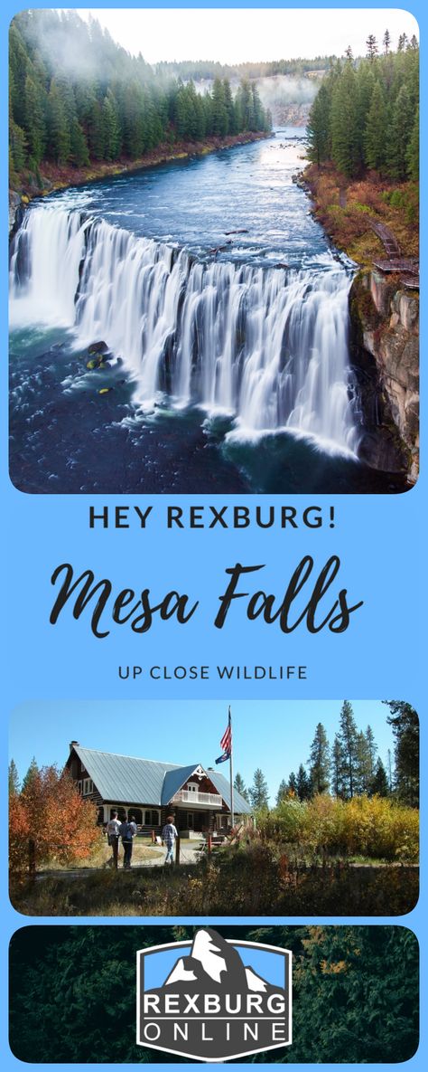 Rexburg Idaho Things To Do In, Island Park Idaho Things To Do In, Idaho Living, Yellowstone Vacation Planning, Wyoming Trip, Island Park Idaho, Grad 2023, Explore Idaho, Rexburg Idaho