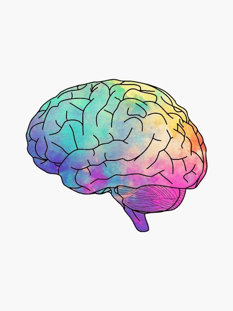 "watercolor brain" Sticker by clairekeanna | Redbubble Whats In My Brain, Brain Art Drawing, Human Brain Drawing, Ambient Aesthetic, Brain Aesthetic, Watercolor Brain, Brain Pictures, Brain Painting, Brain Sticker