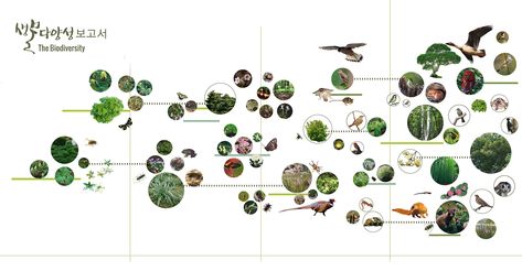 Biodiversity Hill Poster About Biodiversity, Biodiversity Landscape Architecture, Floating Structure, Biodiversity Infographic, Biodiversity Infographic Poster, Urban Biodiversity, Peaceful Interior, Landscape Diagram, Landscape Architecture Diagram