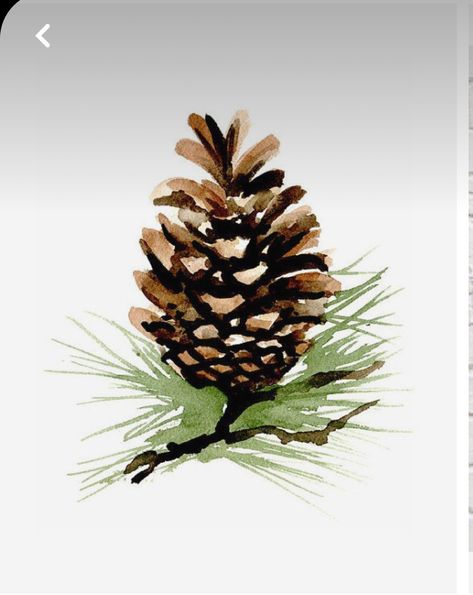 Pinecone Watercolor, Pinecone Painting, Camping Decor, Sketches Easy, Art Workshop, Pine Cone, Xmas Cards, Winter Scenes, Pine Cones