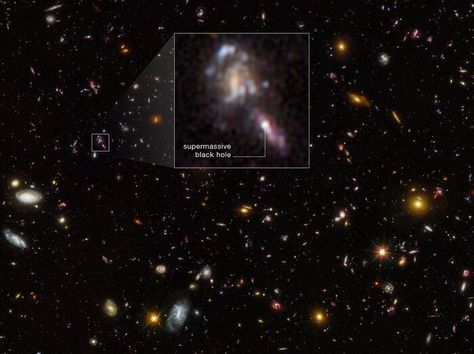 Supermassive Black Holes in Hubble Ultra Deep Field Bank Calendar, Hubble Ultra Deep Field, Field Camera, Star Clusters, Hubble Images, James Webb Space Telescope, History Timeline, Black Holes, Anniversary Event