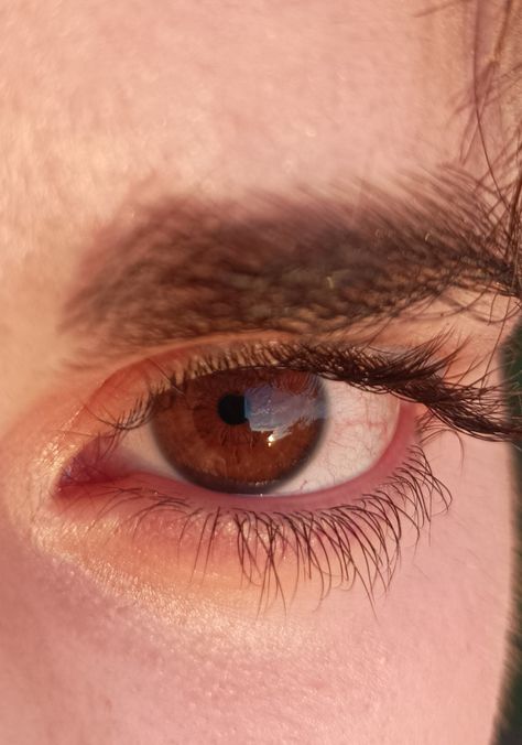 Russet Eyes, Russet Brown Eyes, Reading Imagination, Eye Studies, Brow Eyes, Eye References, Brown Eyes Aesthetic, The Eyes Chico, Eyes Aesthetic