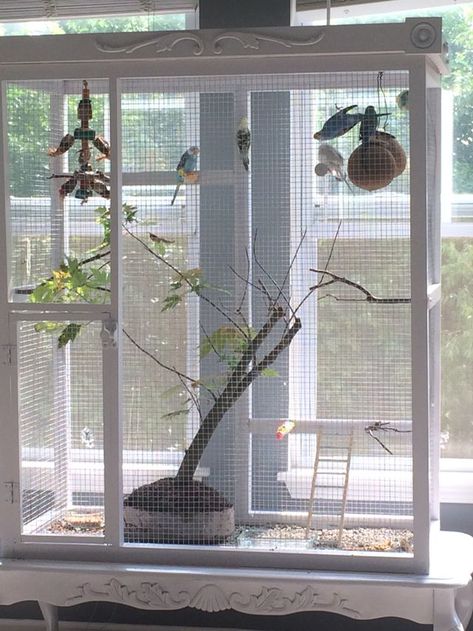 Diy Birdcage For Birds, Big Bird Cage Ideas, Parakeet Cage Ideas, Diy Parakeet Cage, Bird Cage Diy, Bird Cage Ideas, Big Bird Cage, Finch Cage, Canary Cage