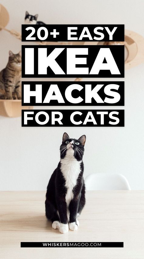 Ikea Cat Bed, Ikea Hacks For Cats, Ikea Cat, Easy Ikea Hacks, Katt Diy, Katt Grejer, Kat Diy, Chat Diy, Koti Diy