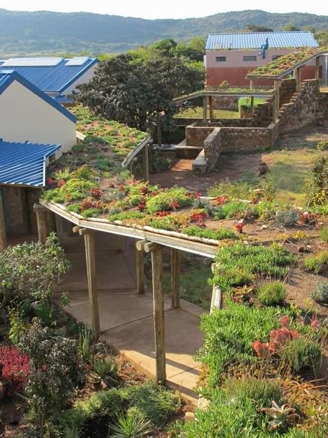 Green Roof Carport, Green Roof Cabin, Green Roof Planting, Eco Roof, Living Green Roof, Green Roof Design, Green Roof Garden, Green Roof Building, Grass Roof