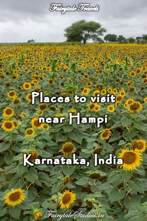 Places to visit near Hampi Hampi Karnataka, Weather In India, Backpacking India, Spiti Valley, India Travel Guide, Visit India, Hampi, River Bank, Beautiful Travel Destinations