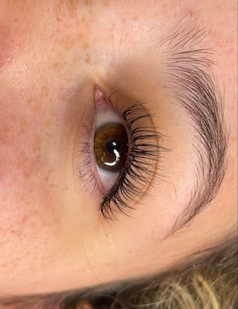 Natural Open Eye Lash Extensions, Open Eye Lashes Extension, Eye Mapping Eyelash Extensions, Cc Curl Lash Extensions, Doll Eye Mapping, Open Eye Lash Extensions, Mapping Eyelash Extensions, Eye Mapping, Natural Looking Lash Extensions