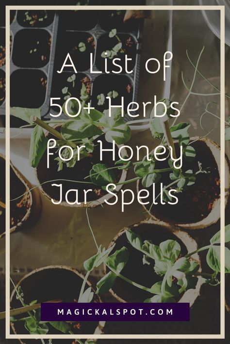 A List of 50+ Herbs for Honey Jar Spells [Love, Money & More] Honey Jar Spell, Simple Spells, White Witchcraft, Spells Love, Break Up Spells, Hoodoo Spells, Herb Jar, Jar Spells, Spell Jars