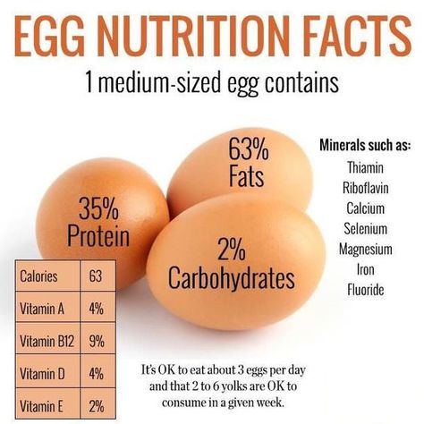 Egg Nutrition Facts, Egg Nutrition, Nutrition Activities, Nutrition Store, Nutrition Quotes, Nutrition Month, Nutrition Sportive, Healthy Quotes, Resep Diet