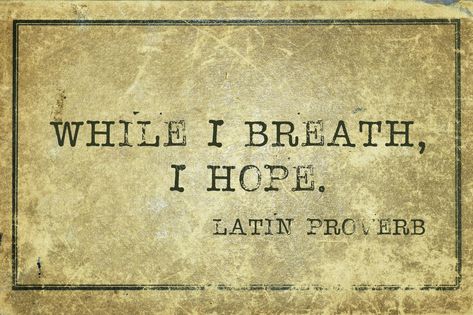 Hope breath Proverb. While I breath, I hope - ancient Latin proverb printed on g #Sponsored , #ad, #Ad, #breath, #hope, #proverb, #Proverb St Augustine Quotes, Seneca Quotes, Ancient Wisdom Quotes, Aristotle Quotes, Ancient Greek Philosophers, Friday Quotes Funny, Greek Philosophers, Philosophical Quotes, Saint Augustine