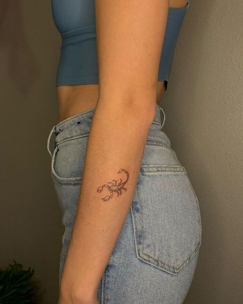 Tattoo Minimal For Woman, Cool And Unique Tattoos, Tattoos 2022 Women, Mini Scorpio Tattoo, Woman Scorpion Tattoo, Dainty Scorpion Tattoo, Womens Unique Tattoos, Scorpion Tattoo Feminine Arm, Dainty Scorpio Tattoo