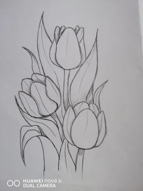 Tulip Drawing, Tulips Art, Flower Art Drawing, Easy Drawings Sketches, Art Drawings Sketches Creative, Sketches Simple, Hand Art Drawing, Art Inspiration Painting, Drawings Simple