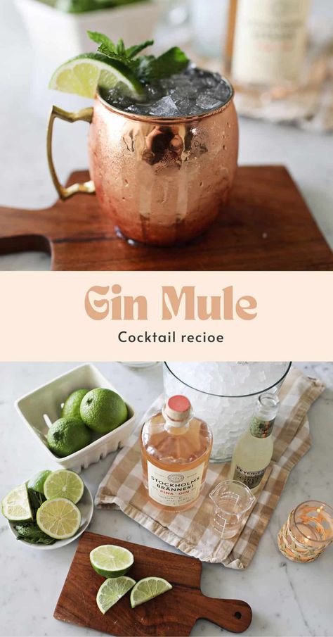 Gin Mule Cocktail - A Beautiful Mess Mules Drinks Cocktail Recipes, Sleek Spring Cocktail Mules, Gin Mule Recipe, Flavored Mules Cocktail Recipes, Fall Inspired Moscow Mules, Gin Drink Recipes, Mule Cocktail, Copper Moscow Mule Mugs, Mule Recipe