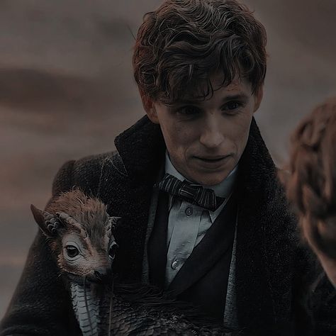 Fantastic Beast Aesthetic, Fantastic Beasts Aesthetic, Newt Animal, Newt Fantastic Beasts, Newt Scamander Aesthetic, Fantastic Beasts Newt, Newton Scamander, Fantastic Beasts Creatures, Eddie Red