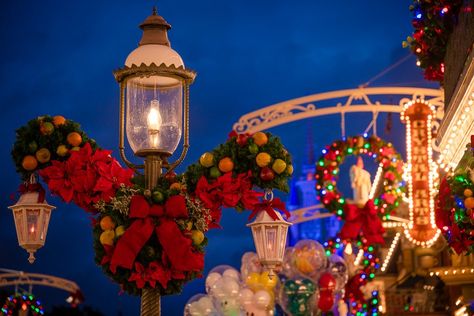 Deluge Debut of Christmas 2020 at Disney World! - Disney Tourist Blog November First, Disneyland World, Disney Tourist Blog, Disney World Tickets, Disney World Christmas, Country Bears, Splash Mountain, Cinderella Castle, Disney Holiday