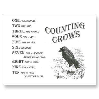 This reminds me of the book The Secret of the Seven Crows. I loved that book when I was a kid! Crow Rhyme, One For Sorrow, Counting Crows, Quoth The Raven, Animal Spirit Guides, Crows And Ravens, Jackdaw, A Crow, Black Birds