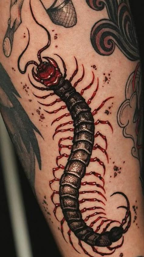 Horror Cover Up Tattoo, Neotraditional Centipede, Centipede Tattoo Around Arm, Centipede Tattoo Forearm, Rashomon Tattoo, Centepide Tattoo Drawing, Red Centipede Tattoo, Human Centipede Tattoo, Red Accent Tattoo