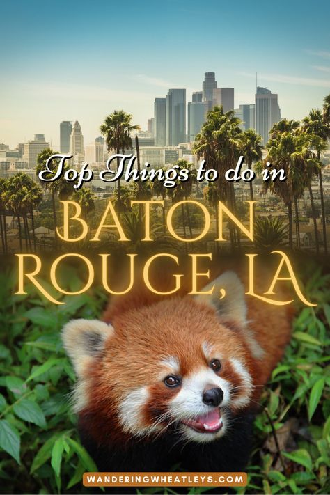 15 Best Things to Do in Baton Rouge Louisiana | Baton Rouge travel guide | attractions in Baton Rouge | places in Baton Rouge | places to visit in Baton Rouge | locations in Baton Rouge | landmarks in Baton Rouge | sights in Baton Rouge | activities in Baton Rouge | museums in Baton Rouge | what to eat in Baton Rouge | what to do in Baton Rouge | things to see in Baton Rouge | Louisiana travel | places in Louisiana | Baton Rouge things to do | USA travel | #BatonRouge #Louisiana #USA Louisiana Baton Rouge, Things To Do In Baton Rouge, Baton Rouge Louisiana Things To Do In, Baton Rouge Louisiana Aesthetic, Things To Do In Baton Rouge Louisiana, Downtown Baton Rouge, New Orleans Vacation, Louisiana Travel, Louisiana Usa