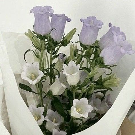 Pretty Flowers, Purple Flowers, Purple, Flowers, White