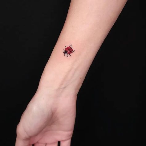 Tiny Ladybug Wrist Small Color Insect Tattoo Idea & Design Tiny Ladybug Wrist Tattoo Done At Dainty Ladybug Tattoo, Ladybug Tattoo, Lady Bug Tattoo, Insect Tattoo, Tattoo Color, Wrist Tattoo, Idea Design, Neo Traditional, Tattoo Inspo